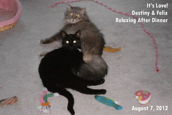 Destiny and Felix, August 2012